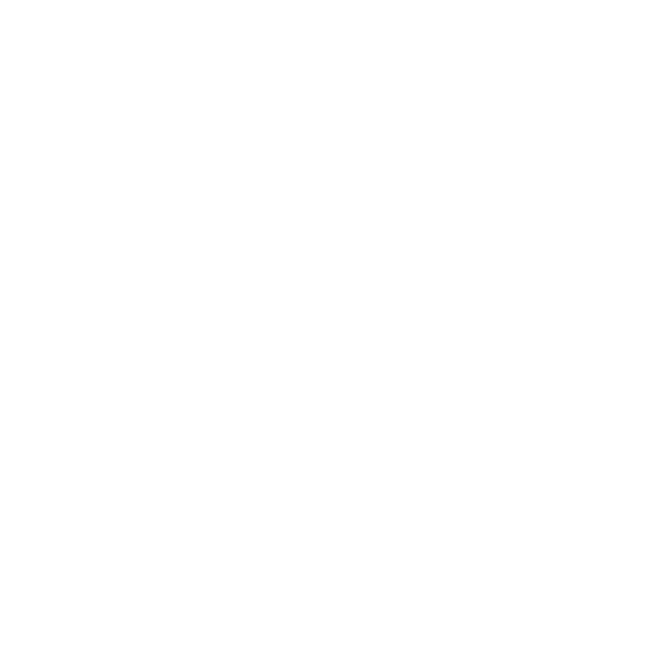 Steam